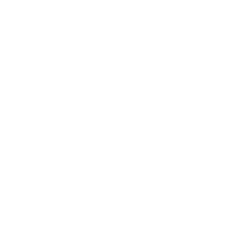 SafeStream Logo